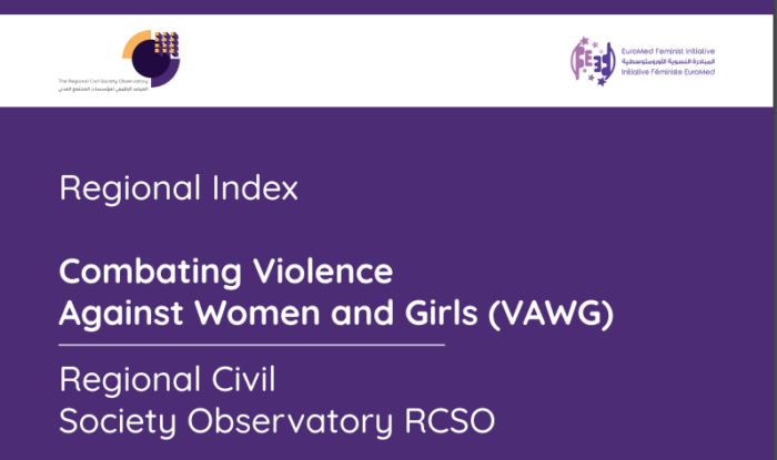 Dhayen | Regional Index: Combating Violence Against Women and Girls